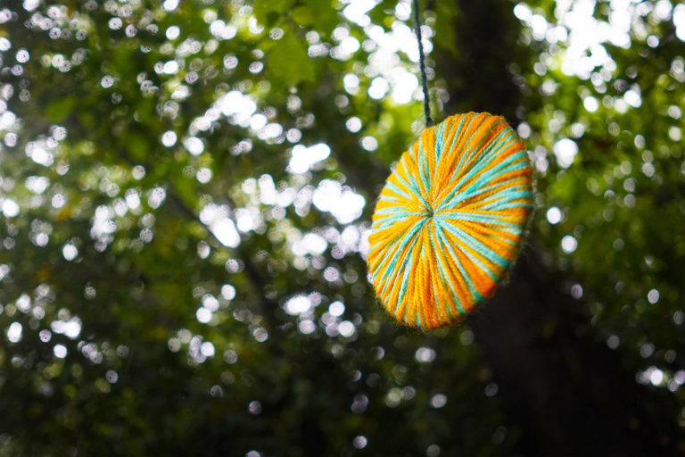 Fabric disc hanging in tree